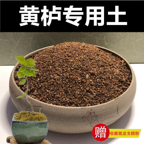 专用土颗粒土赤玉土种植土风化土