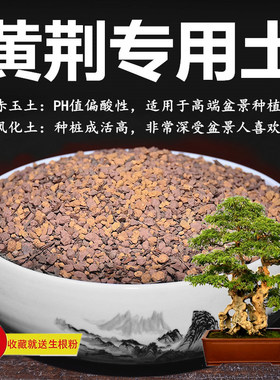 黄荆专用土赤玉土风化土风化石颗粒土酸性土红土专用肥玉肥营养土