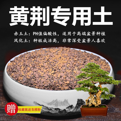 黄荆专用土赤玉土风化土风化石颗粒土酸性土红土专用肥玉肥营养土