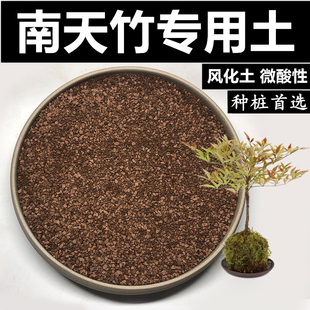 南天竹土风化土颗粒土红沙土酸性土盆景土风化石赤玉土种桩专用土