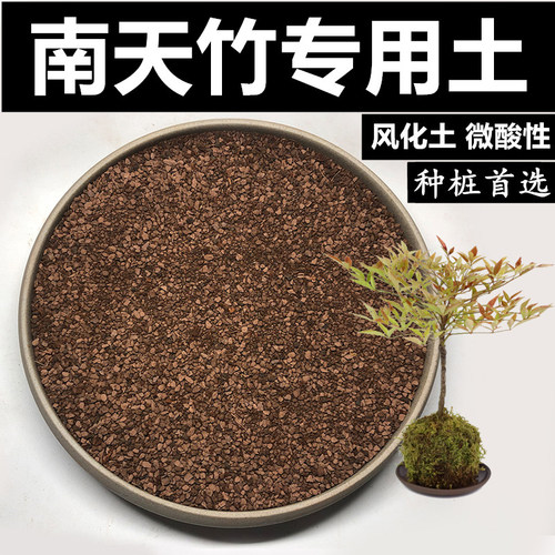 风化土专用土风化石南天竹颗粒土