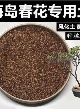 海岛春花土风化土颗粒土红沙土酸性盆景土风化石赤玉土种桩专用土