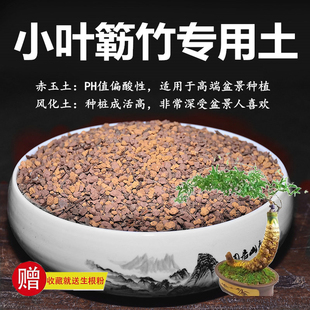小叶簕竹土勒竹专用土赤玉土风化土颗粒土酸性土红土专用肥玉肥