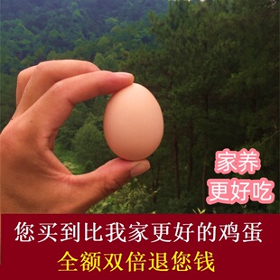 大别山农家散养30枚土鸡蛋初生蛋  老母鸡月子鸡乌骨鸡山鸡走地鸡