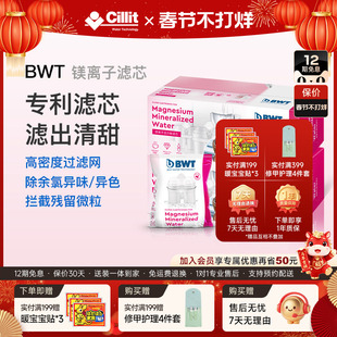 BWT倍世滤芯德国净水壶过滤水壶净水器通用碧然德进口镁离子滤芯
