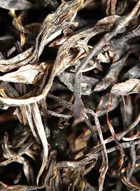 云南茶叶勐库普洱茶生茶散茶供应古树茶500克 普忆堂 大户赛