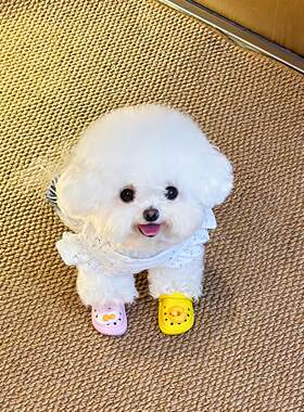狗狗洞洞鞋小型犬泰迪比熊拖鞋猫狗宠物夏季鞋子可爱迷你拍照道具