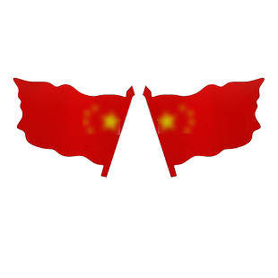 国旗墙贴跆拳道馆内文化墙面装饰画健身房武术拳击馆布置背景壁纸