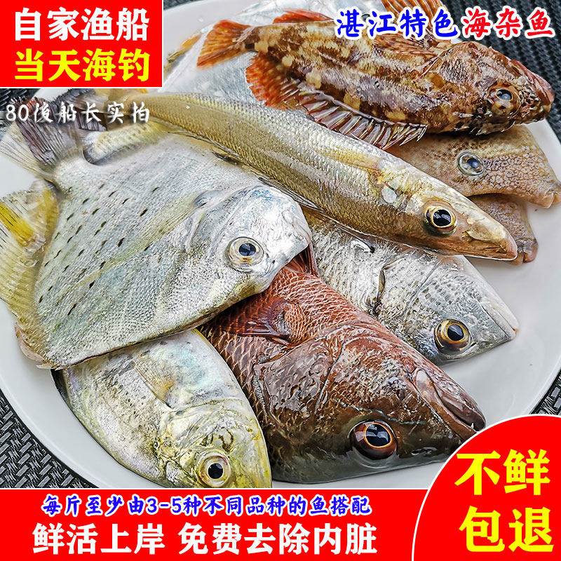 湛江海鲜海杂鱼新鲜小鱼杂鱼2-5个品种左右水产鲜活海鱼组合少刺