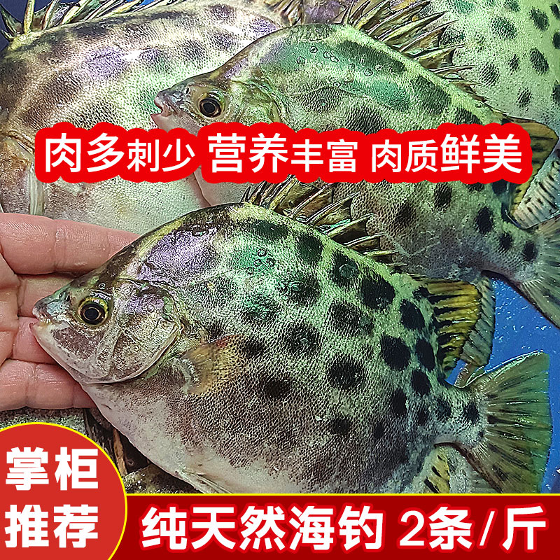 海鱼新鲜海钓深海鱼金午鱼鲜活冷冻斑点鱼湛江生鲜水产特大金鼓鱼 水产肉类/新鲜蔬果/熟食 鲳鱼 原图主图