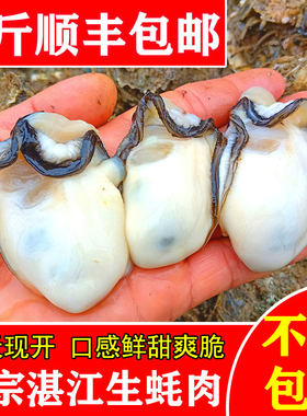湛江海鲜生蚝现剥牡蛎肉带官渡