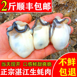 湛江海鲜生蚝鲜活现剥海蛎子肉新鲜去壳牡蛎肉带壳官渡蚝纯生蚝肉