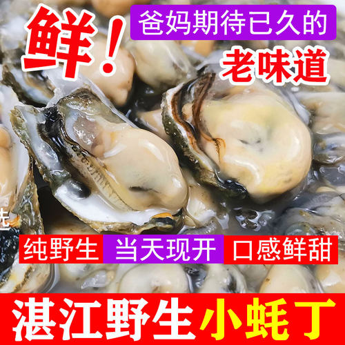 鲜活湛江现剥蚵仔水产烧烤生蚝肉