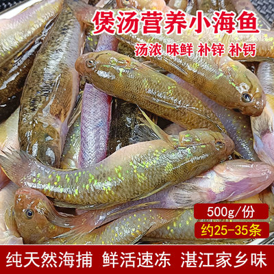 湛江海鱼新鲜调鱼仔鲜活狗母鱼笋壳鱼海鲜水产营养煲汤食材杂鱼仔
