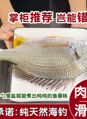 黄翅鱼黄脚立鲜活海捕湛江水产
