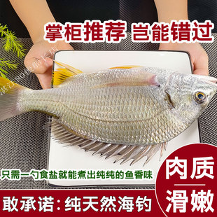 黄翅鱼黄立鱼鲜活海捕湛江海鲜水产新鲜冷冻黄脚立黄墙黄鳍鲷黄赤