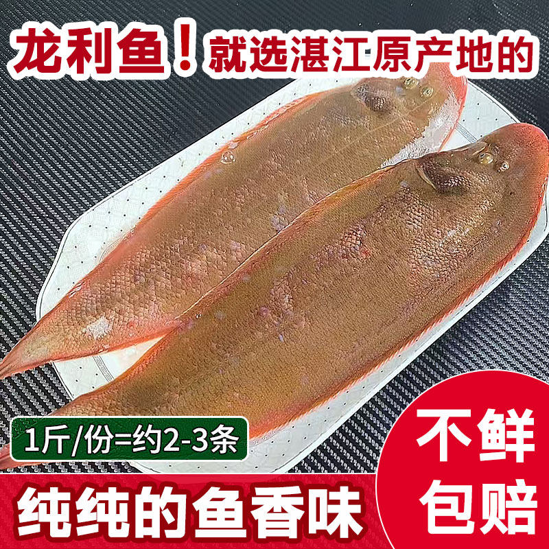 大龙舌鱼 新鲜 冷冻海鲜水产鲜活深海鱼龙利鱼湛江海鲜特产龙舌鱼