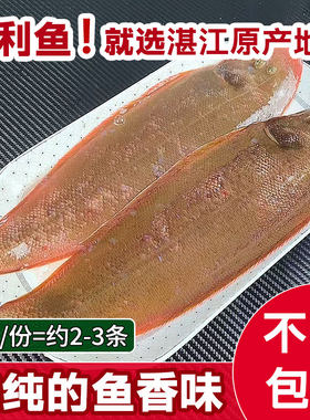 大龙利鱼湛江特产海鲜海捕龙舌鱼