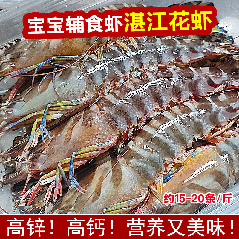 海鲜大斑节虾鲜活海捕九节虾特大竹节虾湛江天然海虾新鲜冷冻花虾