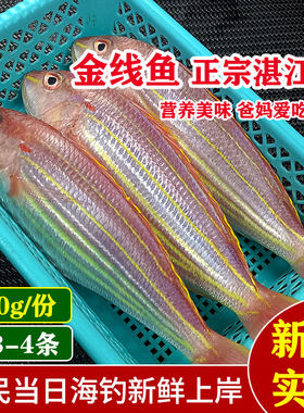 庆余年云梦鱼湛江海鲜新鲜金线鱼