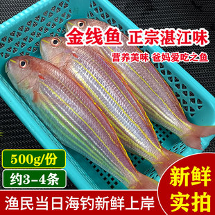 庆余年云梦鱼 湛江海鲜新鲜刀里鱼海钓金丝鱼金线鱼 红三鱼红杉鱼
