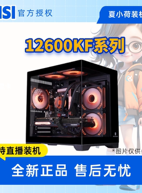吃鸡游戏 夏小荷12600KF无显卡主机/B760/5060/7650/9060XT/