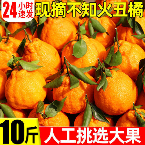 丑橘新鲜当季水果丑八怪蜜柑橘