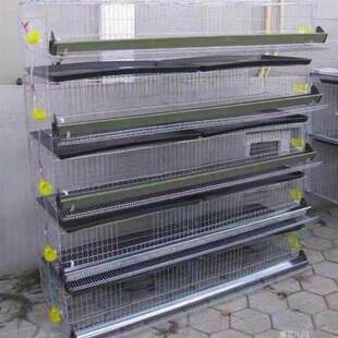 鹌鹑笼养殖笼立式六层鹌鹑笼自动滚蛋家用养殖笼
