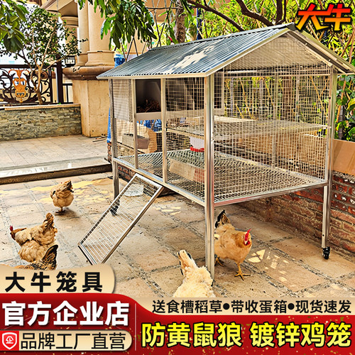 大牛鸡笼子室外家用防雨防黄鼠狼