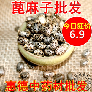 惠德蓖麻子蓖麻籽500克红大麻子蓖麻仁蓖麻种子中药材粒粒饱满选