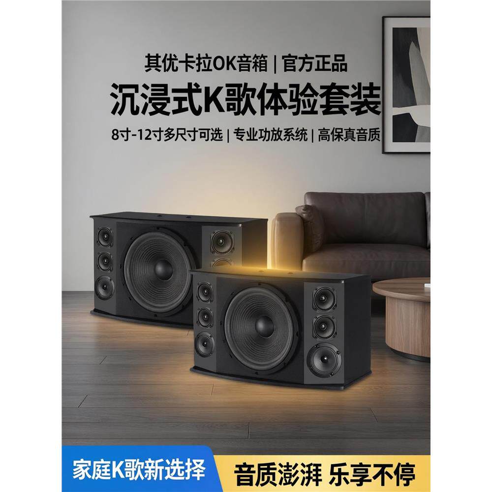 德国进口柏林之声专业卡拉OK音箱KTV音响套装家用8寸10寸12寸卡包