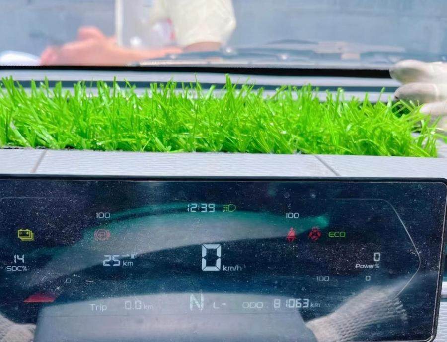 1月16日安庆车牌号为鲁ADP3031远程牌V6E轻型封闭式货车一辆网络拍卖公告