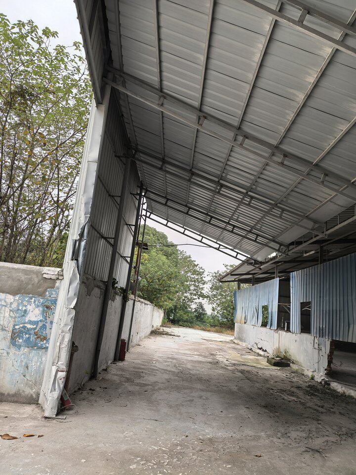 5月8日安庆市高士镇焦赛村安九路旁土地及地上房屋、附属物网络拍卖公告