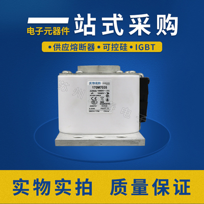 低压熔断器 保险丝 巴斯曼/bussmann170M7035 170M7036 170M7079