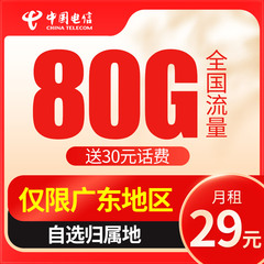 广东广州深圳东莞佛山电信流量卡手机电话卡5g上网卡纯流量大王卡
