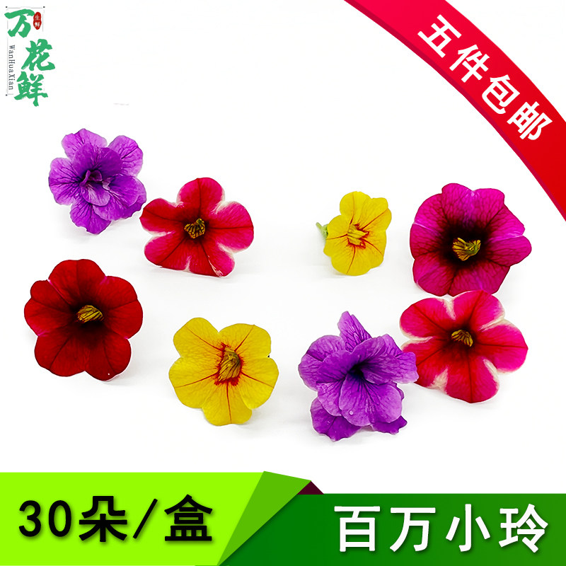 百万小玲摆盘装饰可食用花