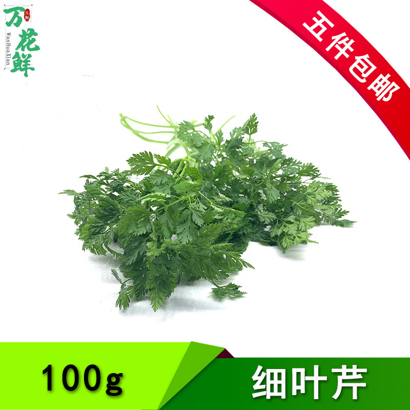 新鲜细叶芹 西餐香料 雪维菜 有喙欧芹 酒店西餐摆盘点缀 约100g