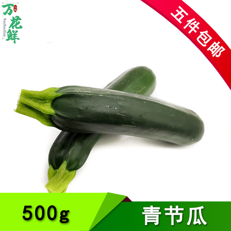 青节瓜500g 新鲜蔬菜青西葫芦绿色青茄瓜炒菜凉拌