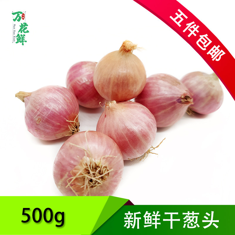 迷你小洋葱500g紫皮小洋葱头珍珠洋葱时鲜蔬菜西餐配菜香料干葱头