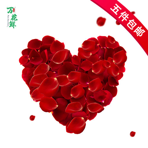 新鲜大玫瑰花瓣约酒店40g点缀