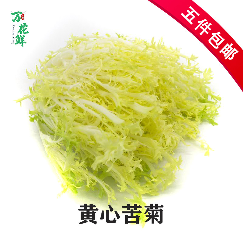 新鲜苦菊250g蔬菜摆盘装饰