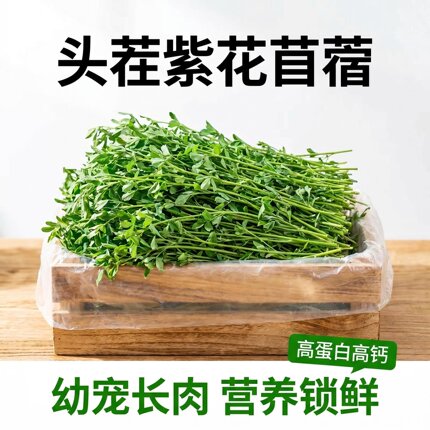 26年头茬紫花苜蓿草苜宿草幼兔兔粮新鲜干草兔子龙猫荷兰猪食物