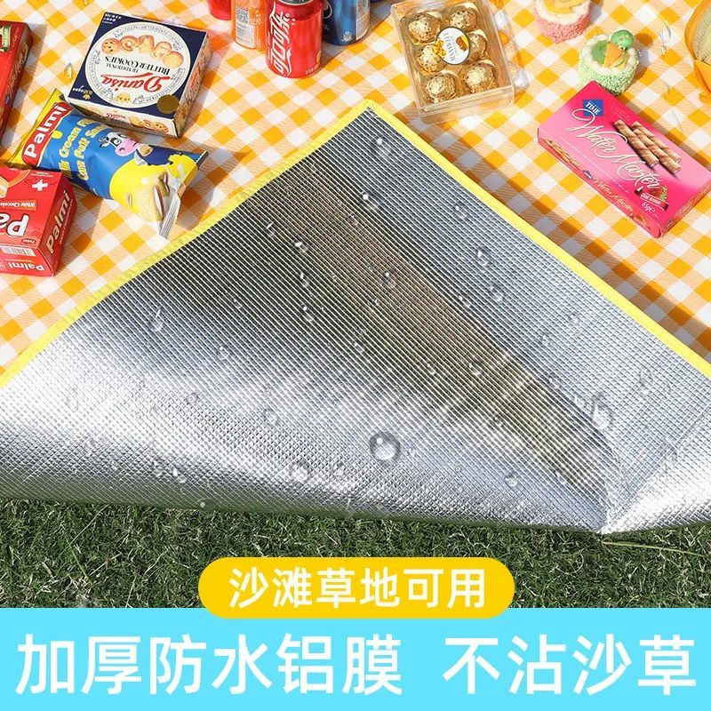 加厚彩膜野外露营垫户外野炊垫野餐布垫草坪垫子铺地宿舍防潮床垫图片