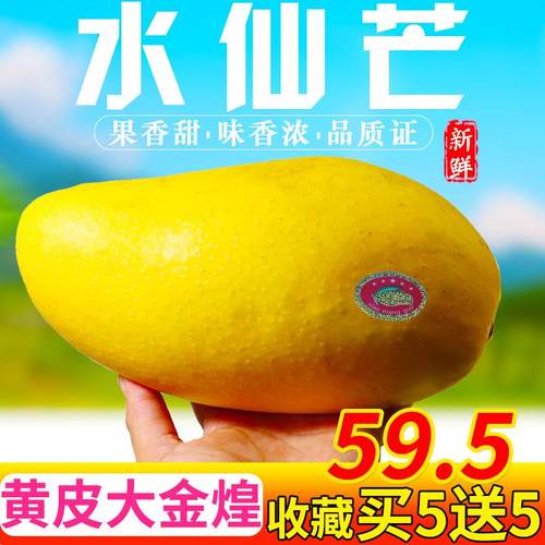 水仙新鲜热带水果10斤凯特芒果