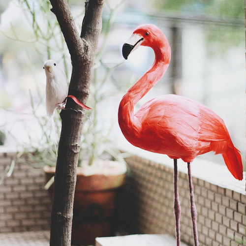 零选日本puebcoins风饰品仿真鸟