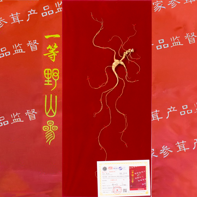 荣老头国检35年野山参吉林长白山一等野生人参东北老参林下参礼盒|ruв категории традиционные питательный пища, женьшень класса тоник, женьшень - от Buy2taobao.com для оказания профессиональной услуги покупки агента Taobao