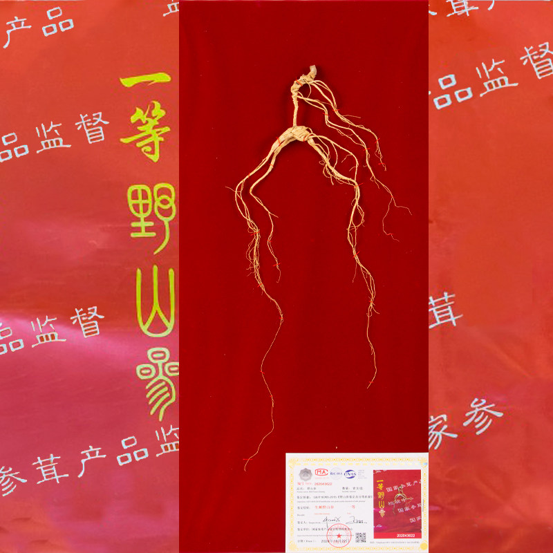 荣老头国检32年野山参吉林长白山一等野生人参东北老参林下参礼盒|msdalam kategori makanan berkhasiat tradisional, ginseng tonik, ginseng liar - dari Buy2taobao.com untuk memberikan perkhidmatan ejen Taobao profesional membeli