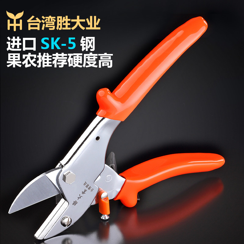 胜大业进口修枝剪刀家用修花枝省力园林工具大力剪粗枝果枝植物剪在类目 鲜花速递/花卉仿真/绿植园艺, 园艺用品, 园艺/刀/剪/锯（新）, 剪刀中 - 来自Buy2taobao.com提供专业的淘宝代购服务