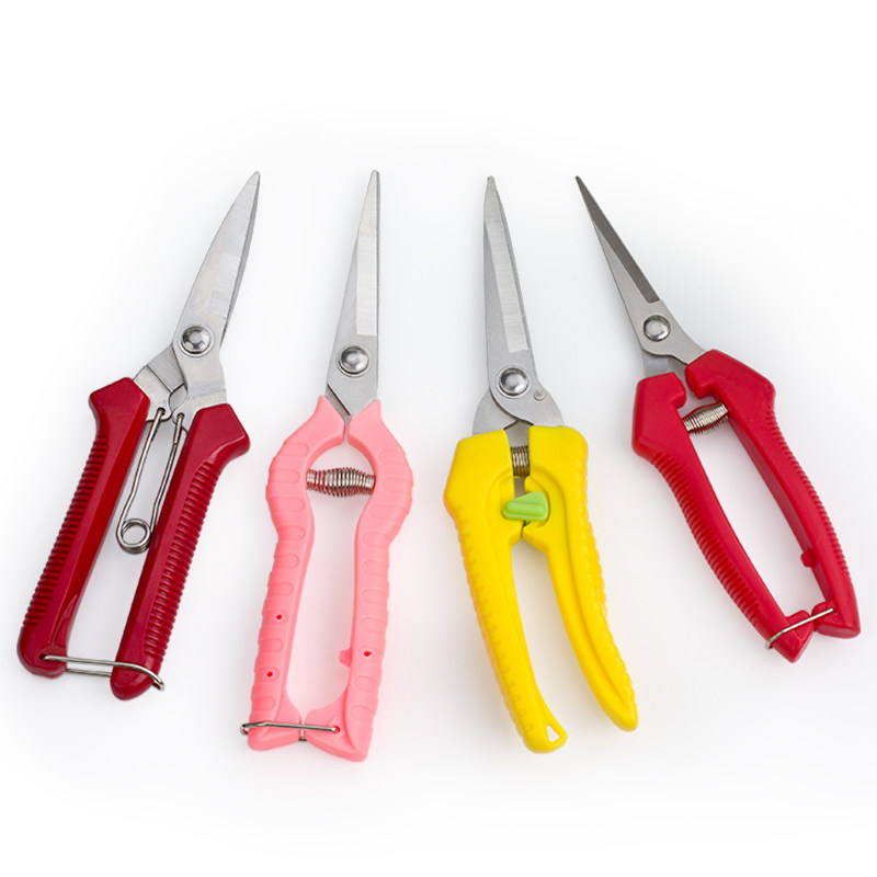 葡萄多肉鲜花园艺修枝剪