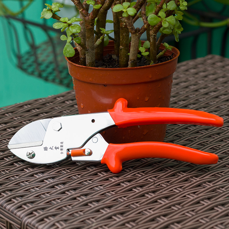 台湾原装进口胜大业修枝剪省力粗枝剪刀日本园艺花卉树枝剪枝工具